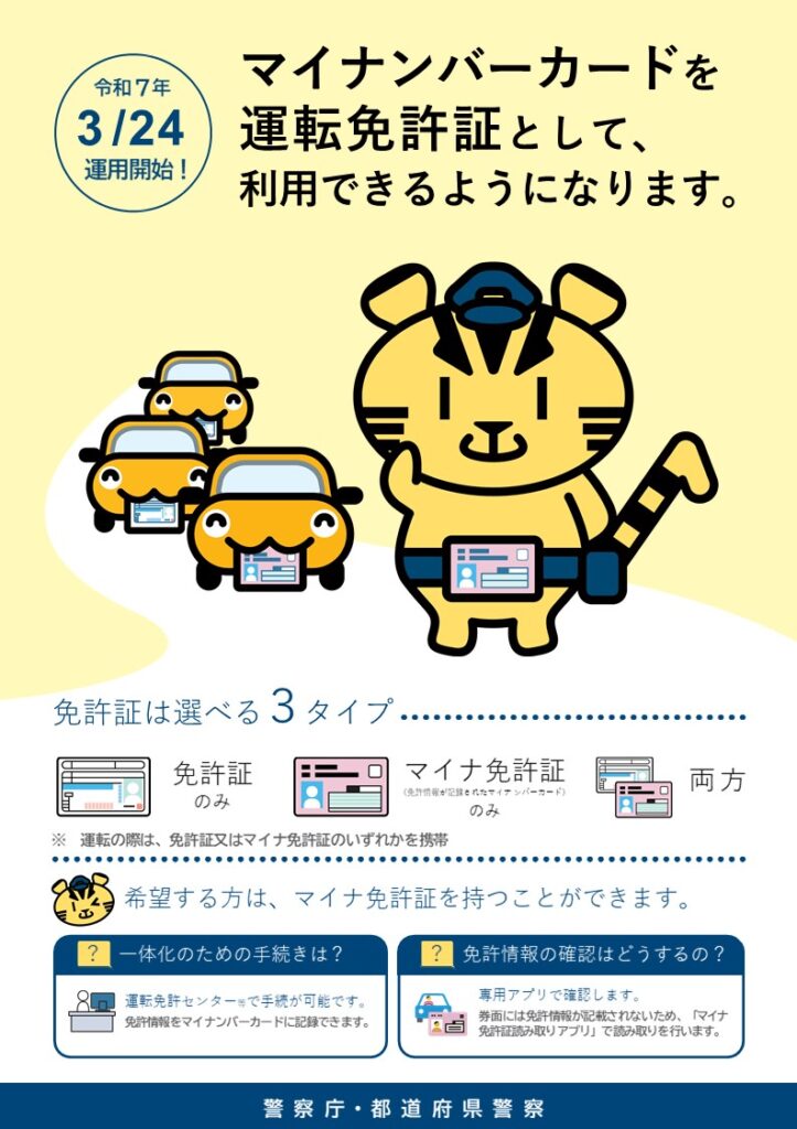 マイナ免許証は何が便利？2枚持ちとの違い・更新・住所変更を解説